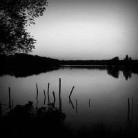 /album/ringtamkytili/photolia-b01-jpg/